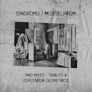 Various Artists | Mad Mixes - Tributo A Esplendor Geometrico 12"