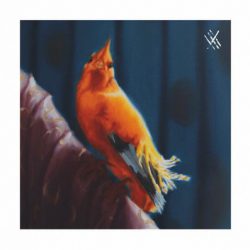 Mushrooms Project & Almunia – XXX003 12” (vinyl)