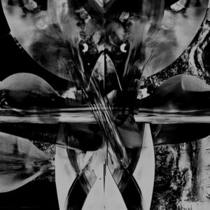 Ece Canli | Vox Flora Vox Fauna LP