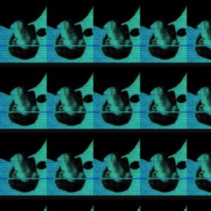 Blokkontrol | I II III LP