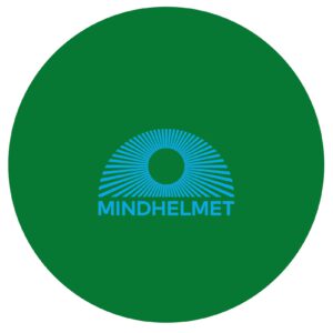 RTK Tarantino | MINDHELMET 22 12"