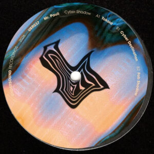 Mr. Pauli | Cyber Shadow 12"